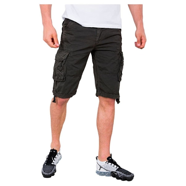 Alpha Industries Jet Cargo Shorts Grå 30 Man
