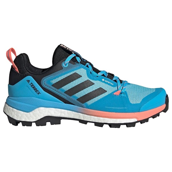 Adidas Vandringsskor Terrex Skychaser 2 Goretex Blå EU 38 Kvinna