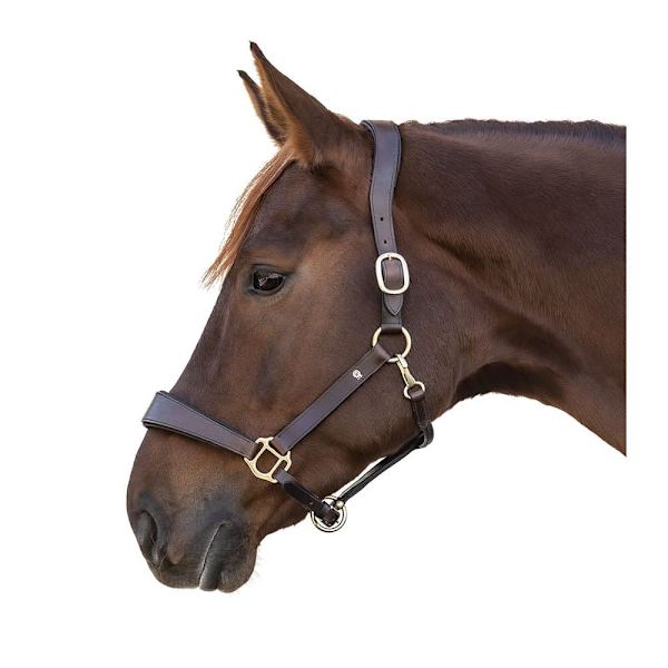 Waldhausen Grimma Leather X-line Anatomic Brun Cob