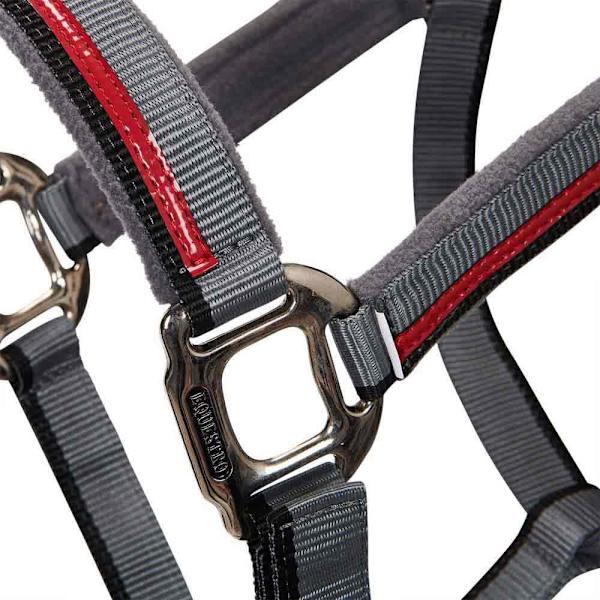 Equestro Red Trim Riimu Ja Talutin  Full