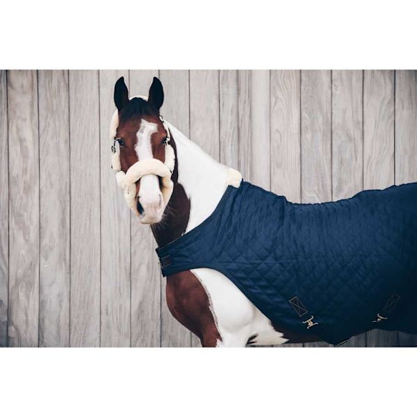Kentucky Tæppe Walker 160g  140 cm