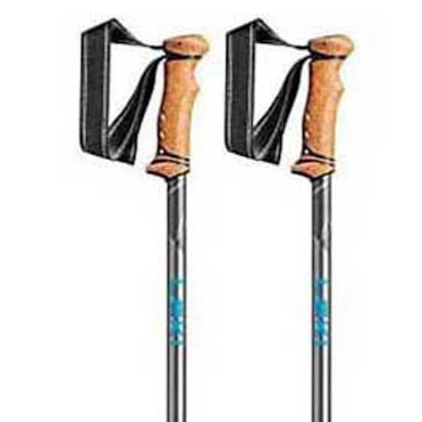 Leki Polacker Legacy Grå 110-145 cm