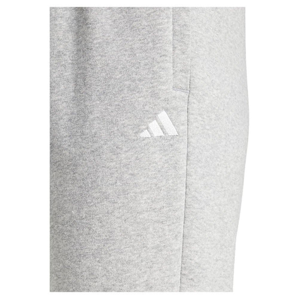 Adidas Essentials Fc Bukser Grå S / Regular Kvinde