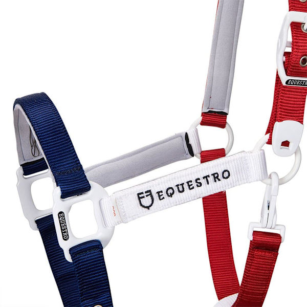 Equestro Riimu Ja Lyijy Ca00512  Full