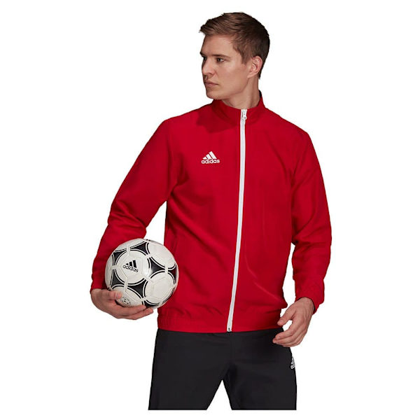 Adidas Jakke Entrada 22 Rød S / Regular Mand