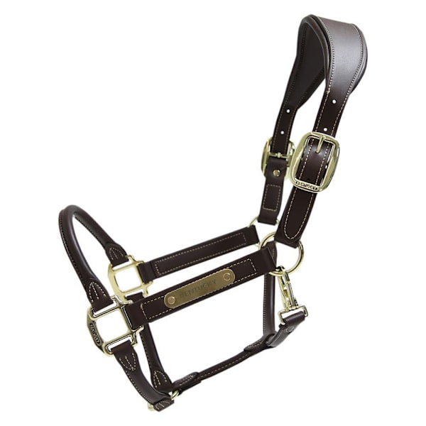 Kentucky Läder Grimma Anatomic  Full