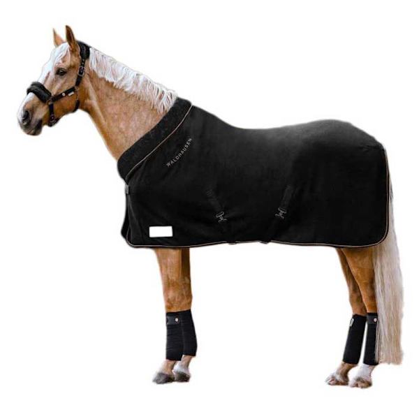 Waldhausen Stemmetæppe Modern Rosé Sort 155 cm