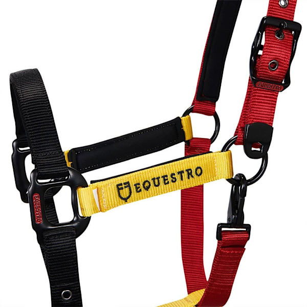 Equestro Riimu Ja Lyijy Ca00512  Cob