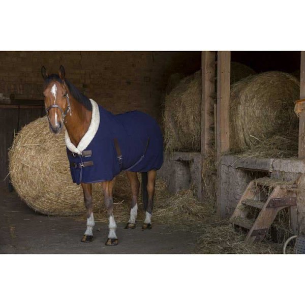 Equitheme Polar Standard Stabil Matta Teddy Blå 206-155 cm