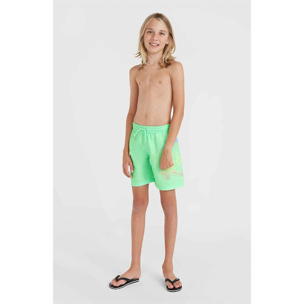 O´neill Circle Surfer 14´´ Uimahousut Vihreä 5-6 Years Poika