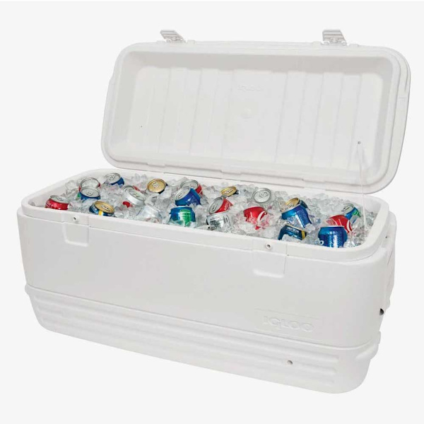 Igloo Coolers Styv Bärbar Kylare Polar 120 114l Durchsichtig