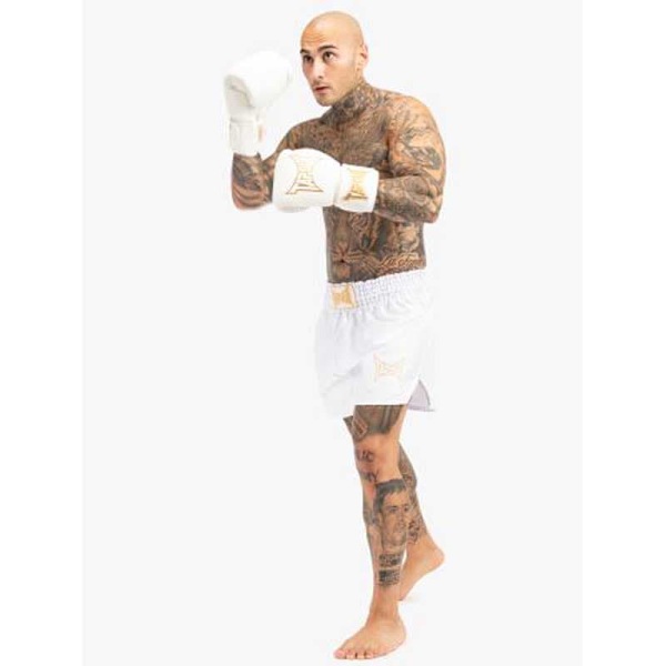 Tapout Zorrey Thaibokseshorts  XL Mand