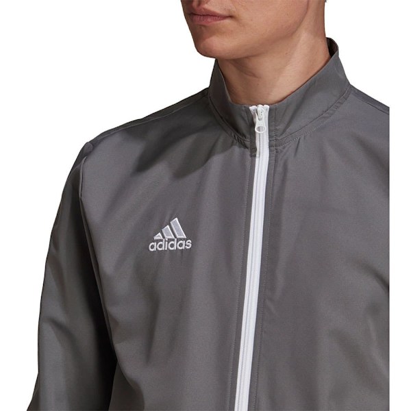 Adidas Jacka Entrada 22 Grå S / Regular Man