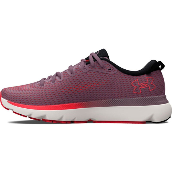 Under Armour Løbe Skoe Hovr Infinite 5 Lilla EU 37 1/2 Kvinde