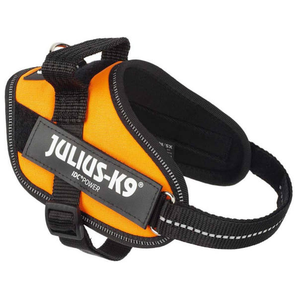Julius K-9 Sele Idc® Power Mini Gul Mini