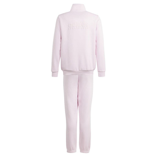 Adidas All Szn Graphic Träningsdräkt Rosa 15-16 Years Pojke