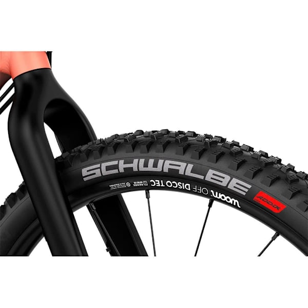 Woom Mtb-cykel Off 4 20´´ Silver  Pojke