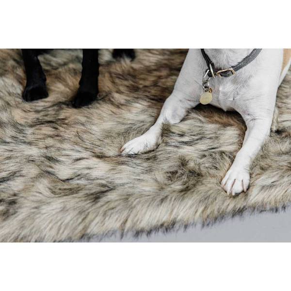 Kentucky Säng Fuzzy Blanket To Go  80 x 60 cm