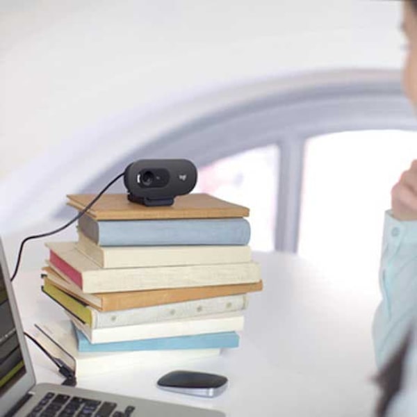 Logitech Webcam C505e Sort