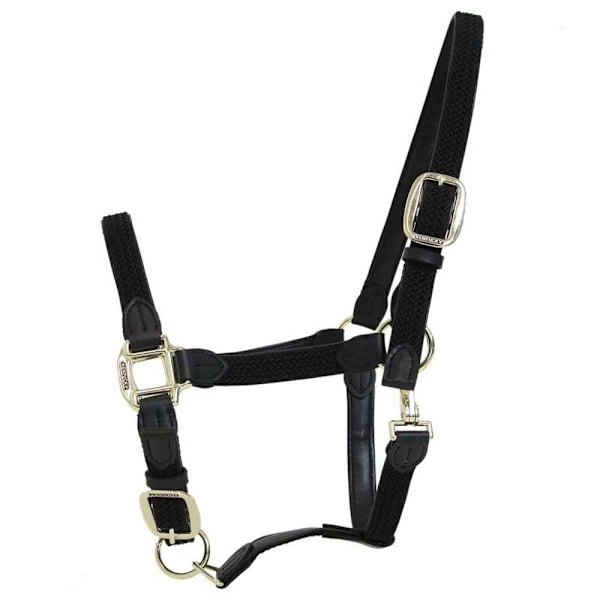 Kentucky Punottu Riimu Nylon  Full