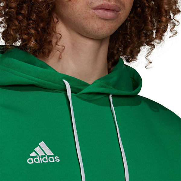 Adidas Luvtröja Entrada 22 Grönt S / Regular Man