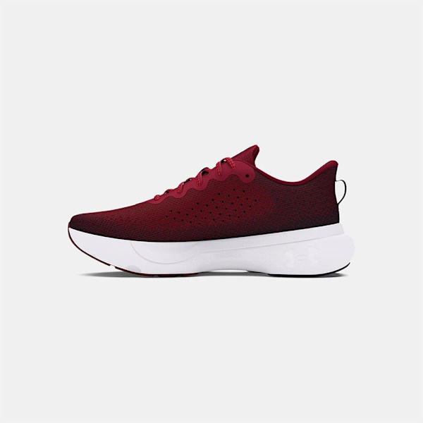 Under Armour Infinite Løbesko  EU 42 Mand