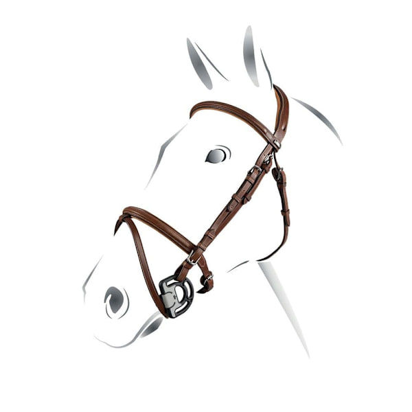 Equestro Jumping Halter  Pony