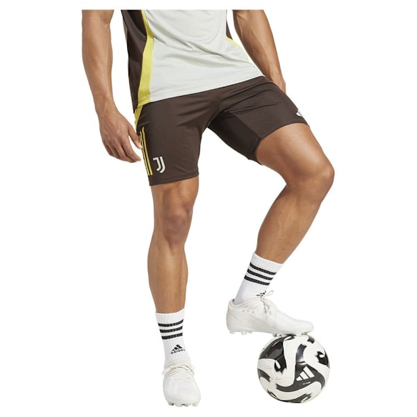 Adidas Juventus 24/25 Tiro Competition Træningsshorts  M