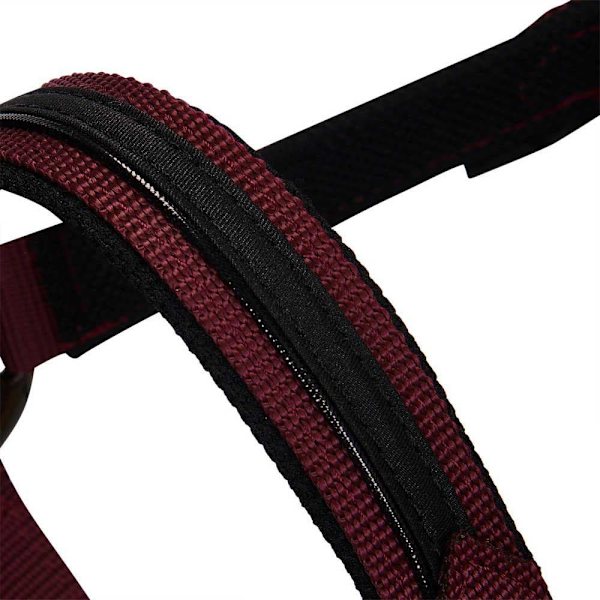 Equestro Elegance Riimu Ja Talutin  Coby