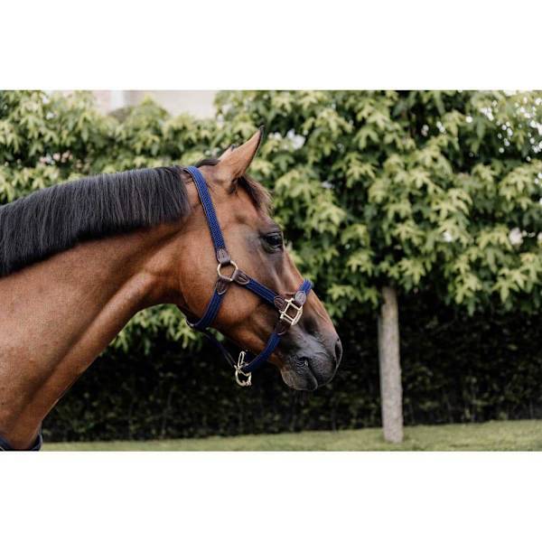 Kentucky Punottu Riimu Nylon  Full