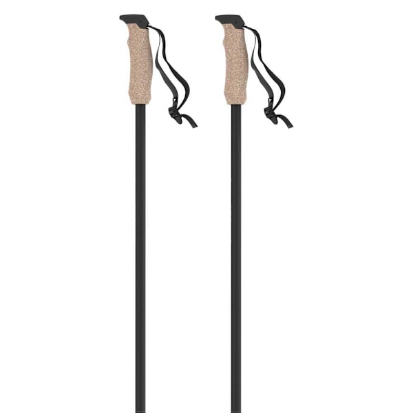 Atomic Pylväät Amt Carbon Hopeinen 135 cm