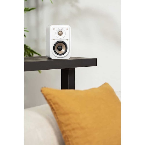 Polk Audio S10 Elite Högtalare Guld One Size / EU Plug