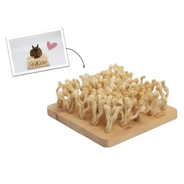 Bunny Gnagare Lek Snuffleboard 24.2x9x24.2 Cm
