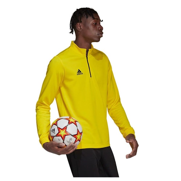 Adidas Tröja Entrada 22 Training Gul M / Tall 2 Man