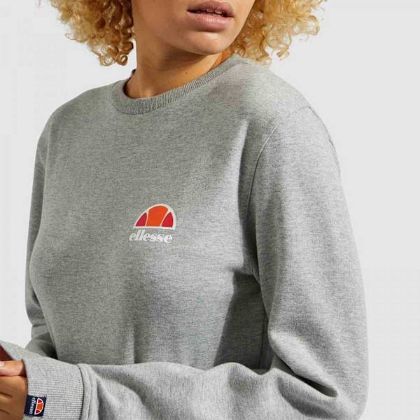 Ellesse Ashburton Tröja Grå 12 Kvinna