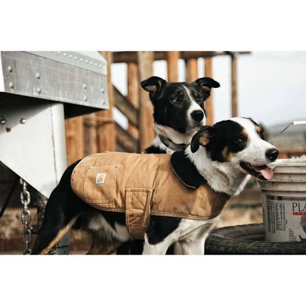 Carhartt Hundejakke Chore Brun M