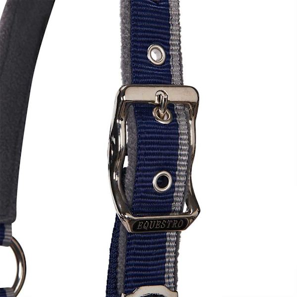 Equestro Red Trim Riimu Ja Talutin  Coby
