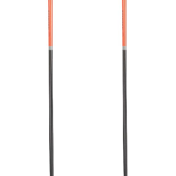 Rossignol Force 10 Spadserestokke  170 cm