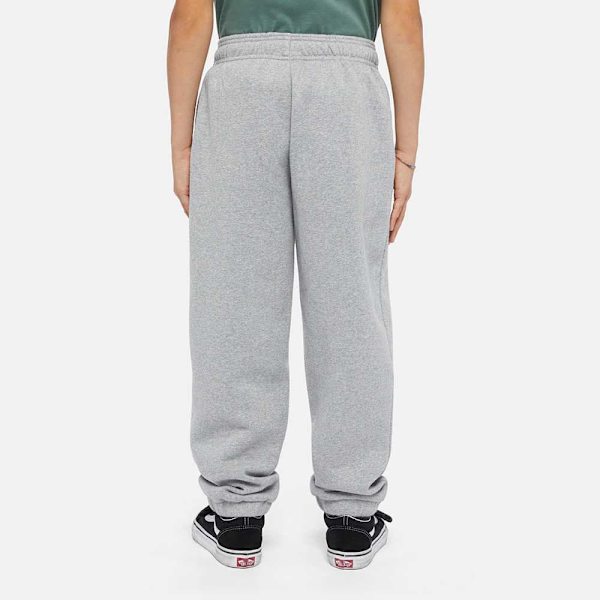 Dickies Youth Mapleton Hikihousut Harmaa L Mies