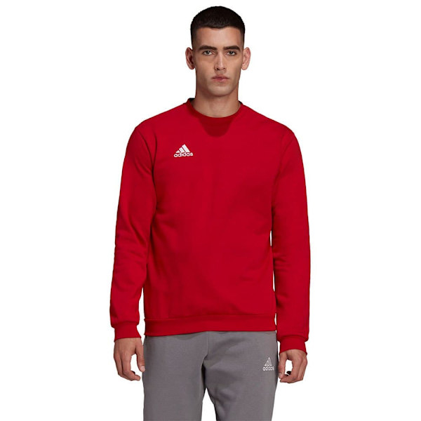 Adidas Huppari Entrada 22 Stadium Sw Punainen S / Regular Mies