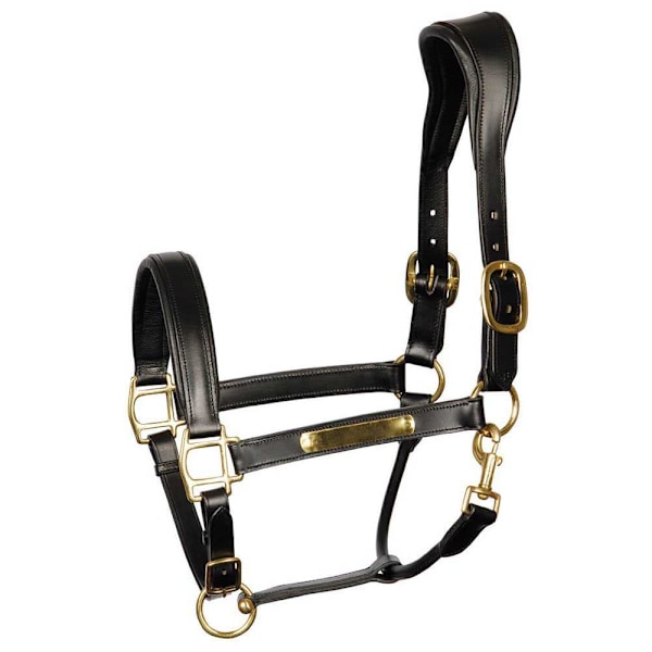 Harry´s Horse Anatomic Nahkainen Riimu  Cob