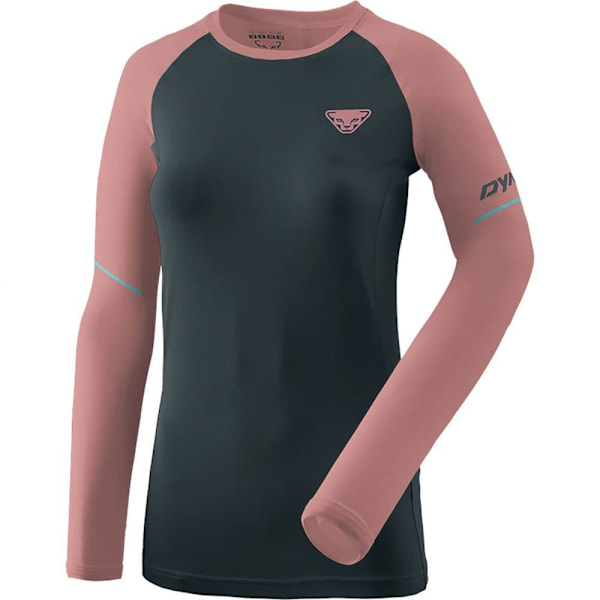 Dynafit Langærmet T-shirt Alpine Pro Grå DE 36 Kvinde