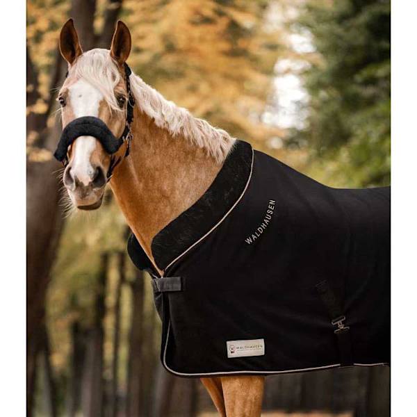 Waldhausen Stemmetæppe Modern Rosé Sort 155 cm