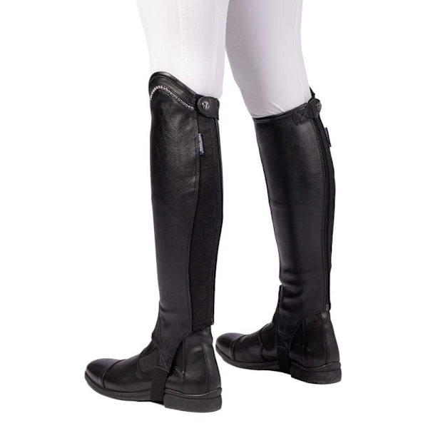 Harry´s Horse Asteroid Halvchaps  XL