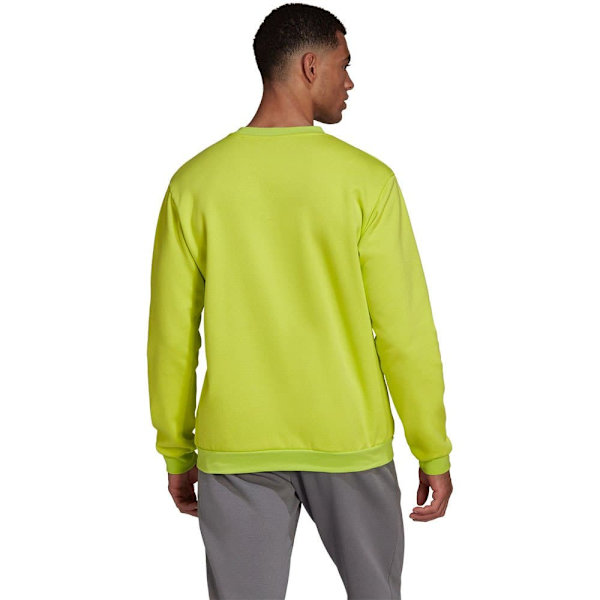 Adidas Sweatshirt Entrada 22 Stadium Sw Gul M / Regular Mand