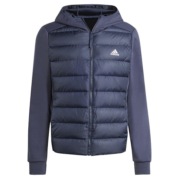 Adidas Jacka Predator Blå 2XL Man