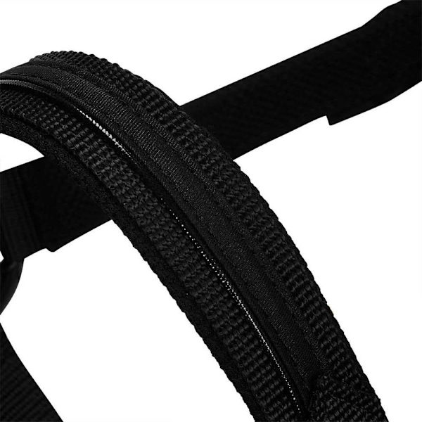 Equestro Elegance Riimu Ja Talutin  Coby