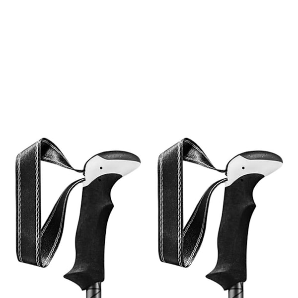 Leki Stolpar Khumbu Lite Pro Silver 100-135 cm