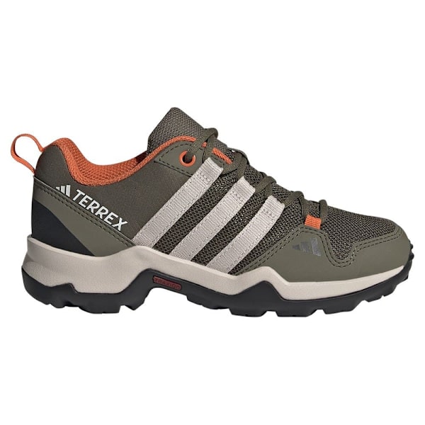 Adidas Terrex Ax2r Vandresko Grå EU 28