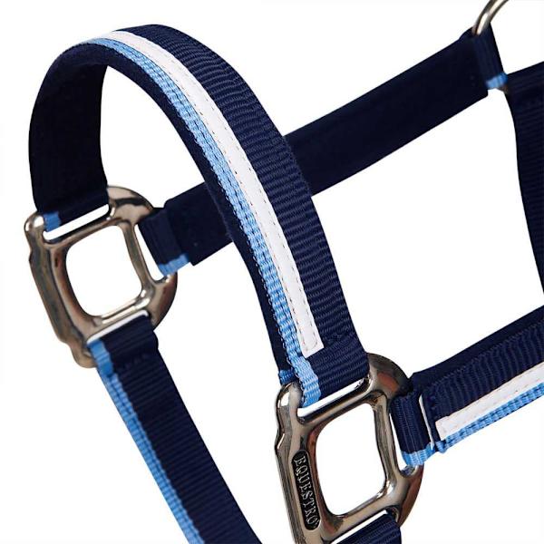 Equestro White Trim Riimu Ja Talutin  Coby